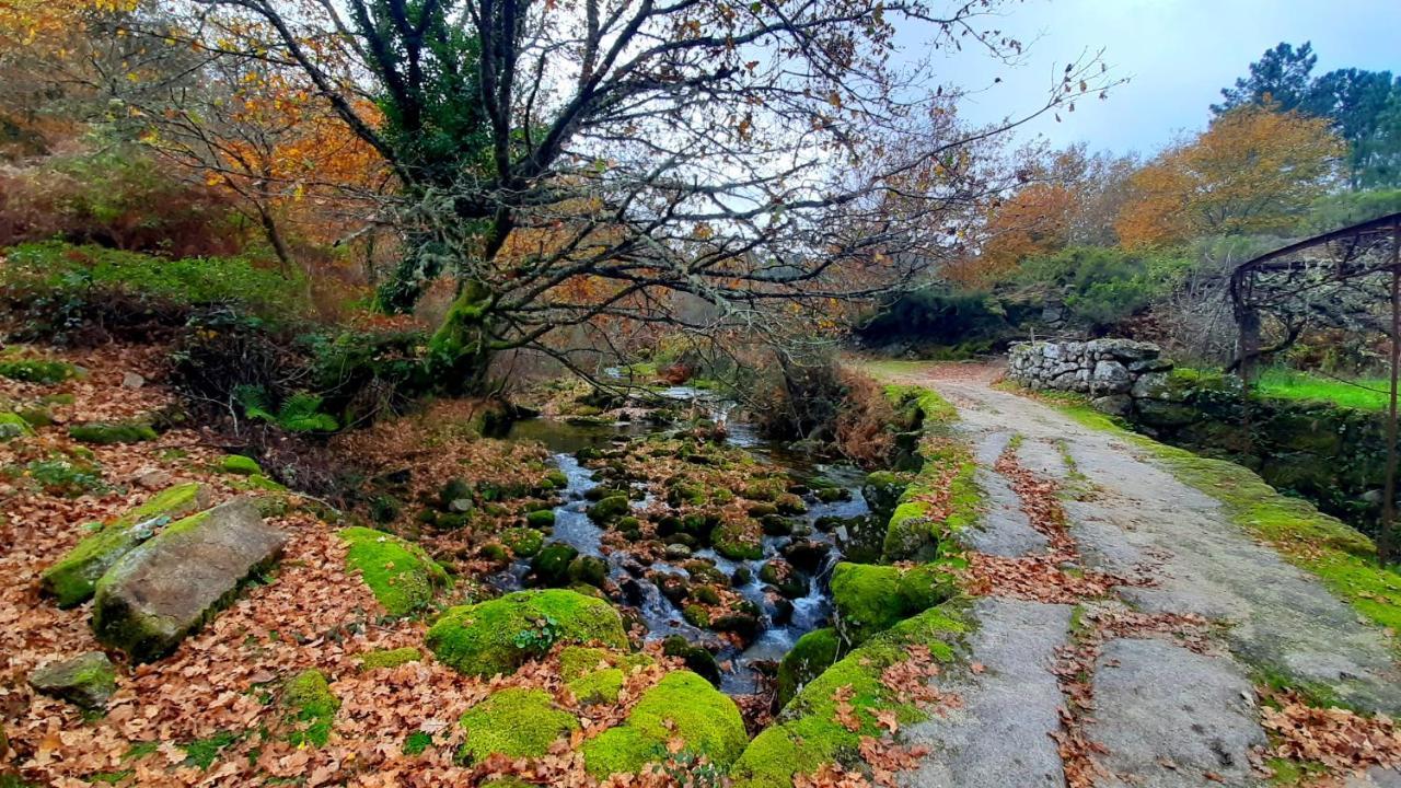 Casa Do Sertao Para 4 Pessoas -Geres Viana do Castelo Luaran gambar